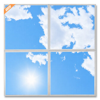 Basic LED-wolkenplafond 60x60 cm 4 panelen