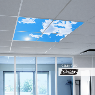 Basic LED-wolkenplafond 60x60 cm 4 panelen