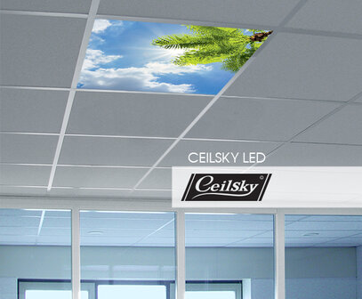 LED-wolkenplafond / Fotoplafond 1 paneel inbouw 60x60