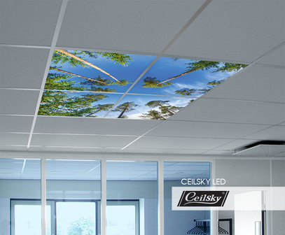 Bomen LED foto aan plafond