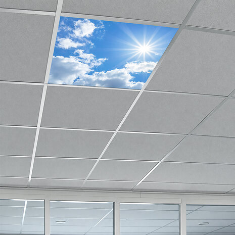 LED-wolkenplafond / Fotoplafond 1 paneel inbouw 60x60